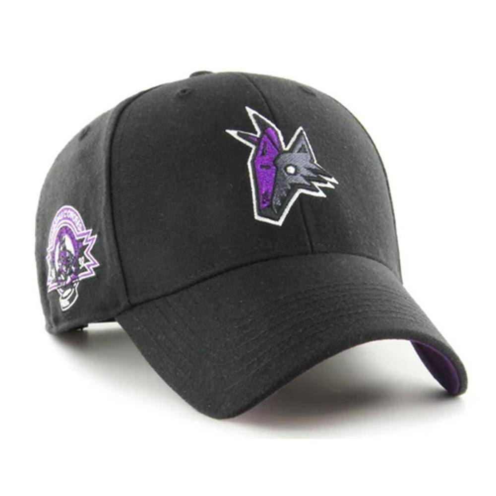 NHL Cap Sure Shot Color Pop 47`