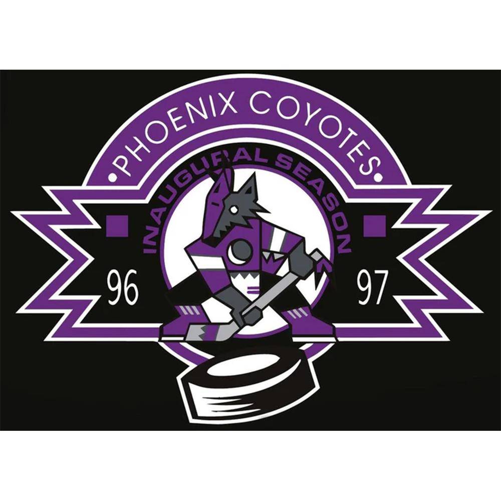 NHL Cap Sure Shot Color Pop 47`