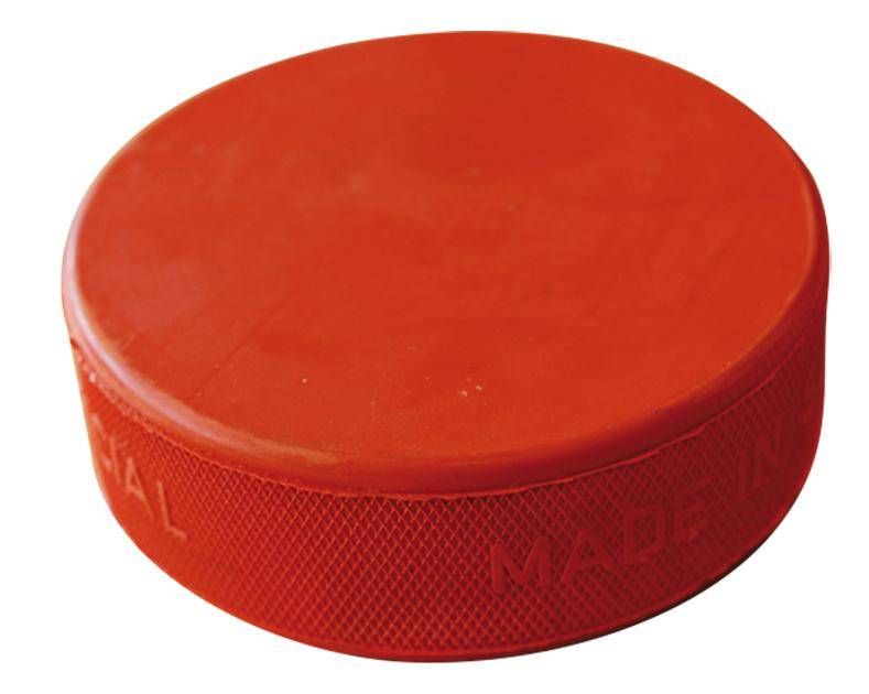 Puck Training Gewichted