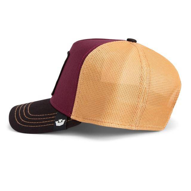 Goorin Tricolor Owl Cap