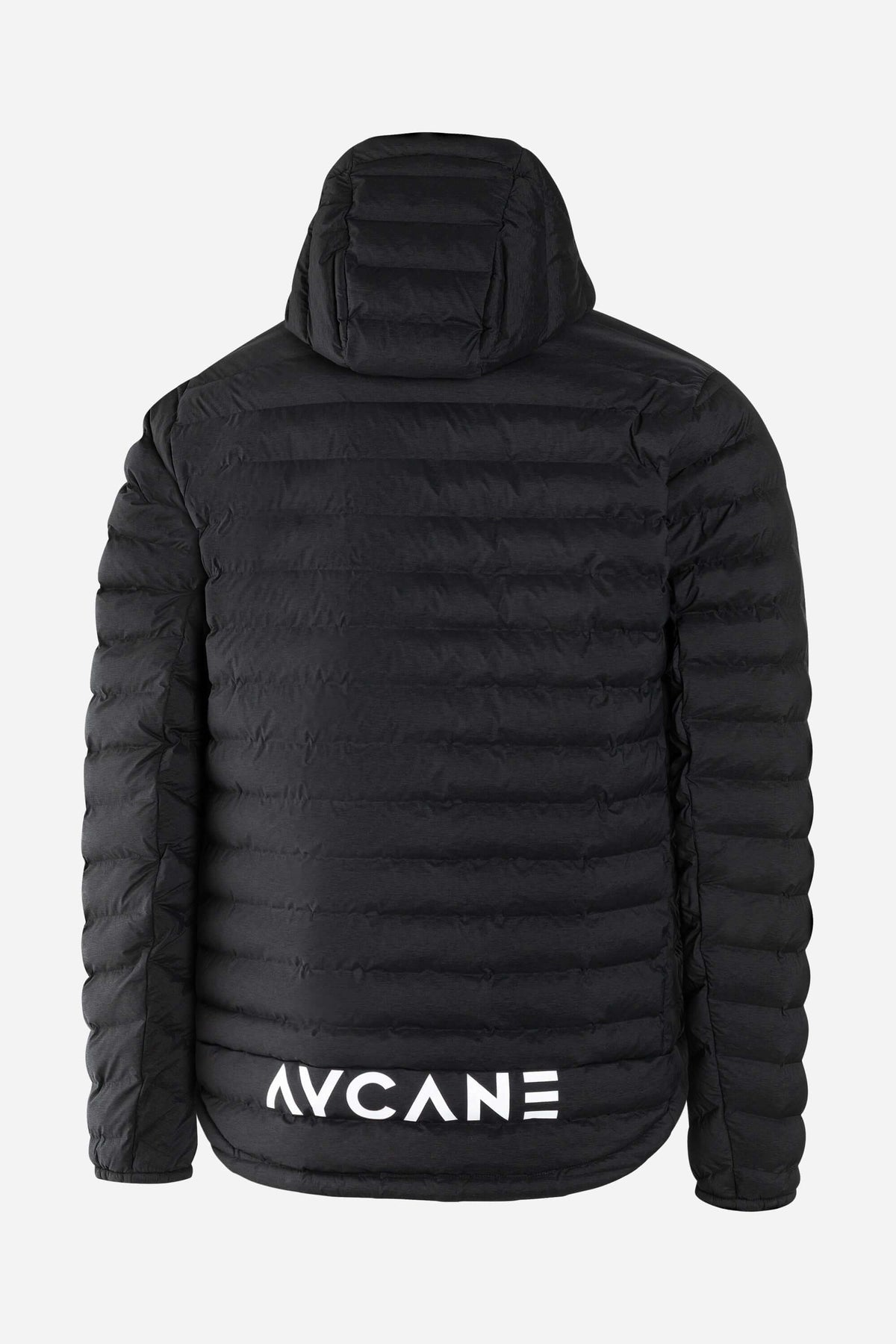 T-LITE Jacket Black Senior EHC Sursee