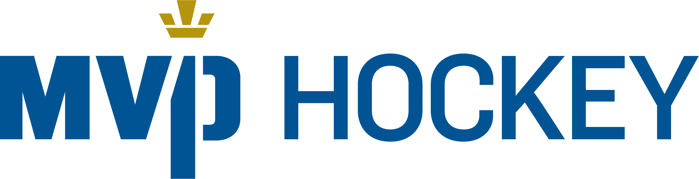 thehockeyshop.ch